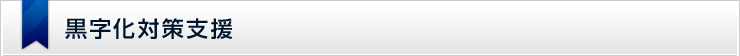 黒字化対策支援