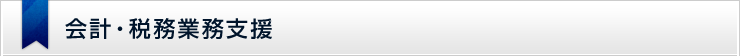 節税・税務調査対策